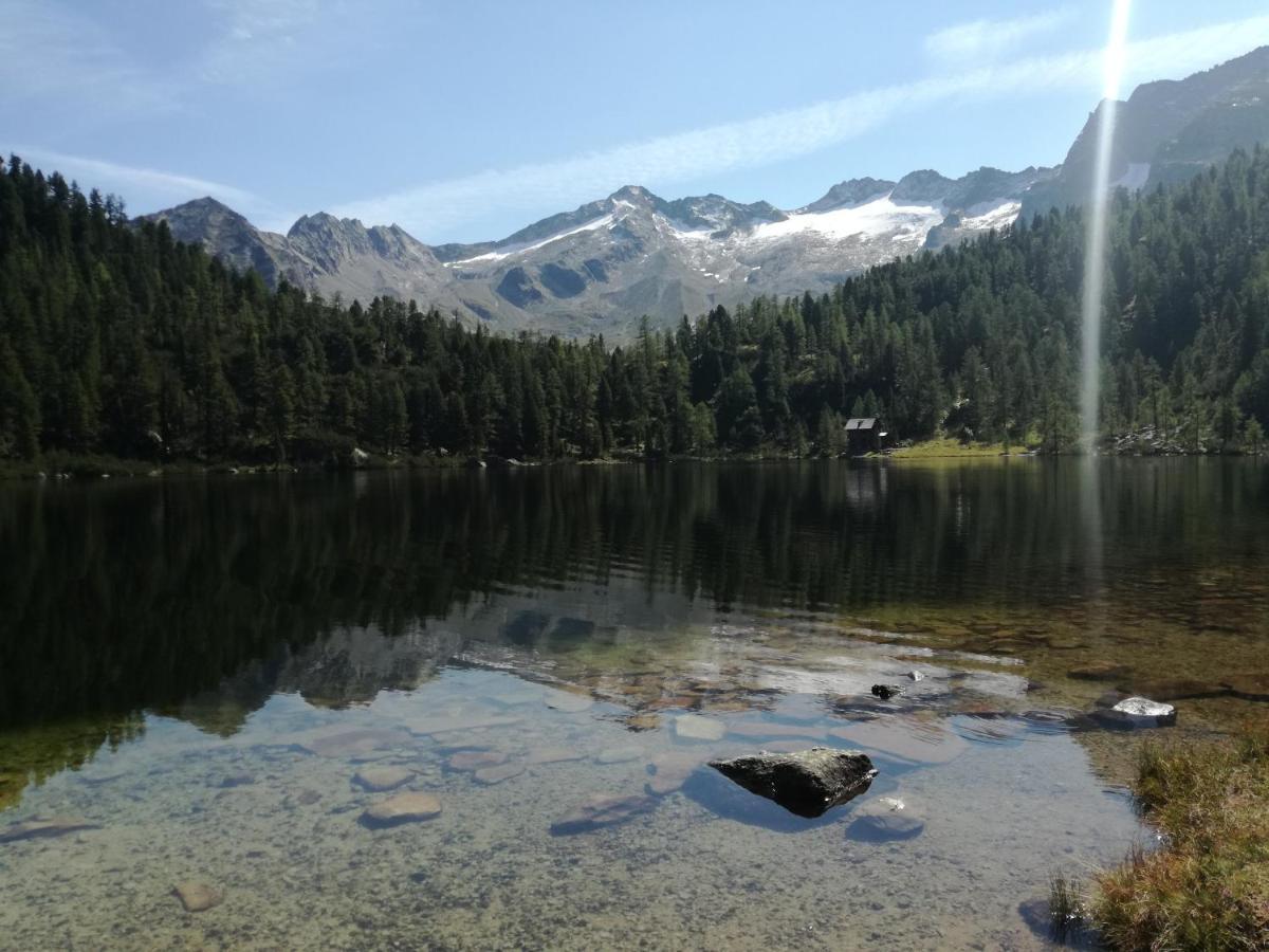 Gaestehaus Schernthaner Dorfgastein Zewnętrze zdjęcie
