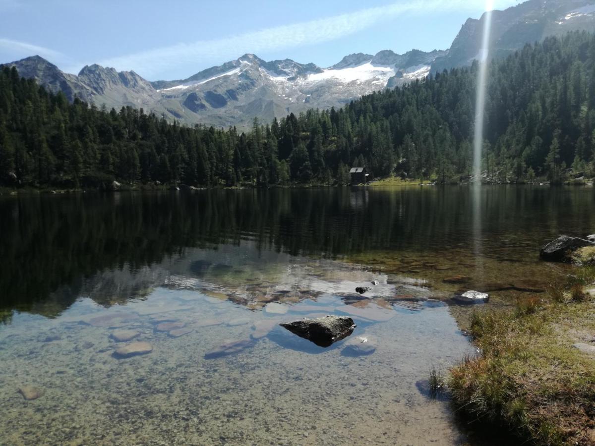 Gaestehaus Schernthaner Dorfgastein Zewnętrze zdjęcie
