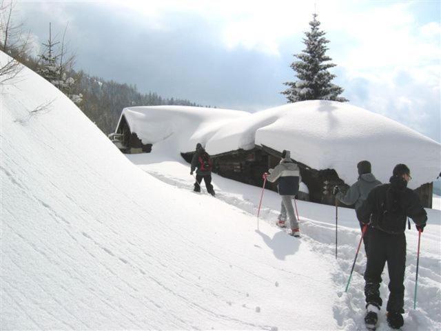 Gaestehaus Schernthaner Dorfgastein Zewnętrze zdjęcie